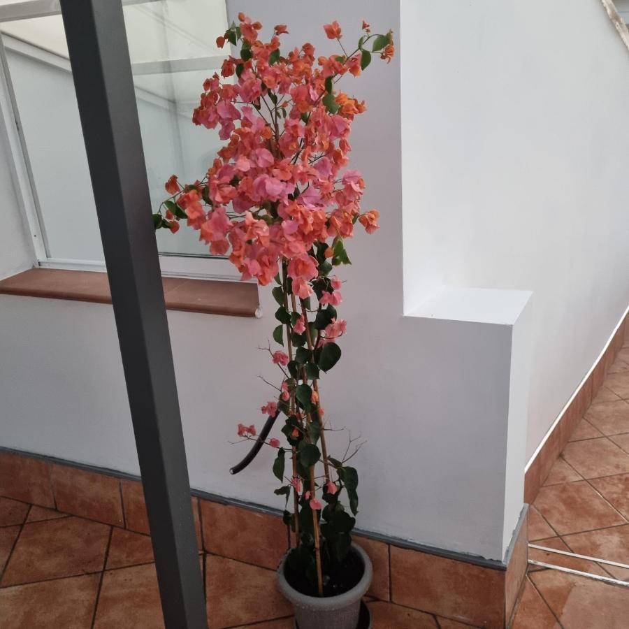 Santiago Del Teide Room エクステリア 写真